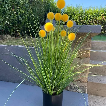 Au Jardin Secret Saint-Martin-Boulogne